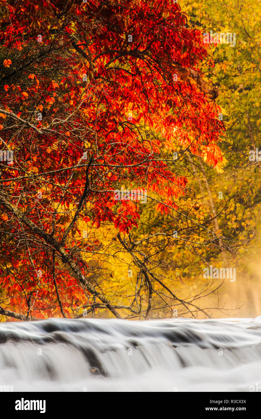 Autumn view of Hooker Falls on Little River, DuPont State Forest, near Brevard, North Carolina Stock Photo