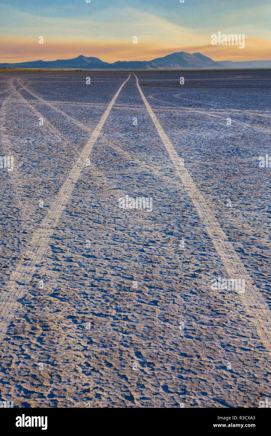 USA, Oregon, Alvord Desert. Tire tracks on precipitated mineral salt