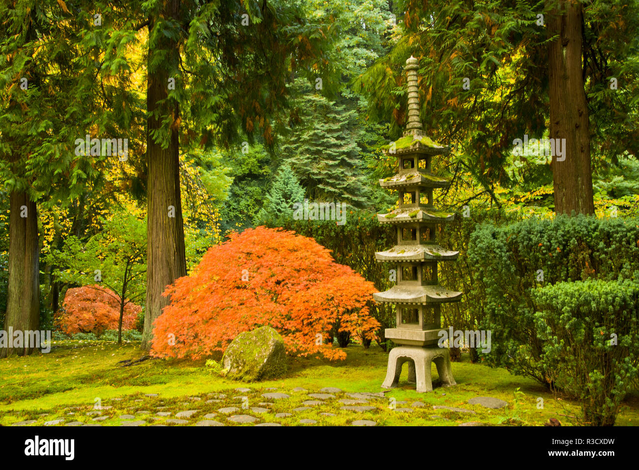 pagoda-autumn-landscape-portland-japanese-garden-portland-oregon