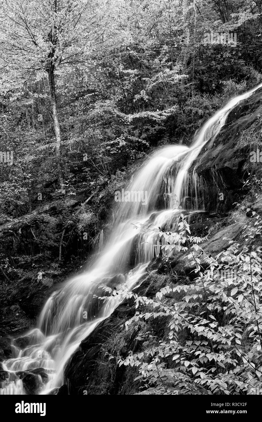 USA, Virginia, Blue Ridge Parkway. George Washington National Forest, Autumn at Crabtree Falls Stock Photo