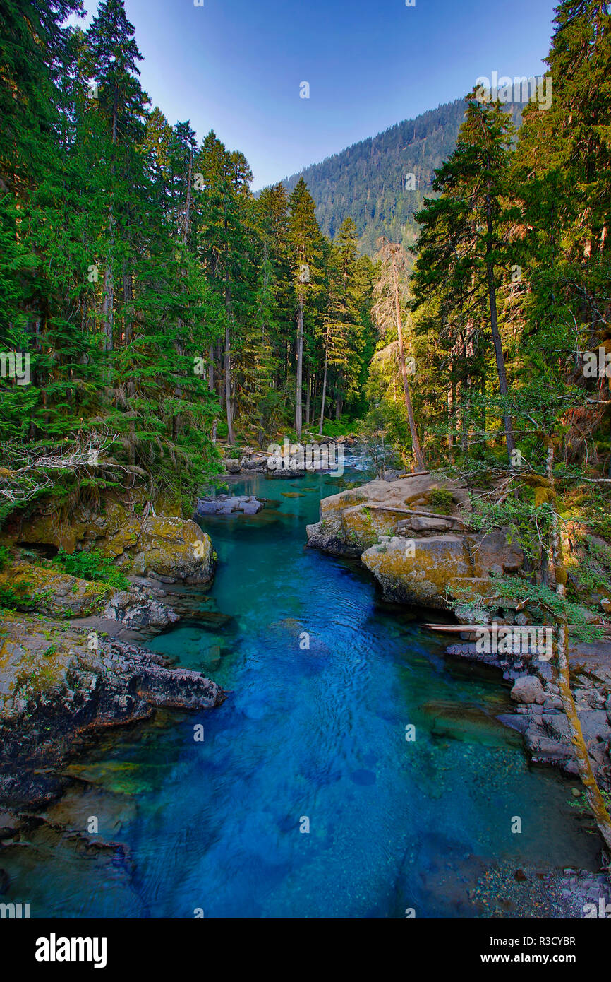 USA, WA, Mount Rainier National Park. Ohanapecosh River at sunrise