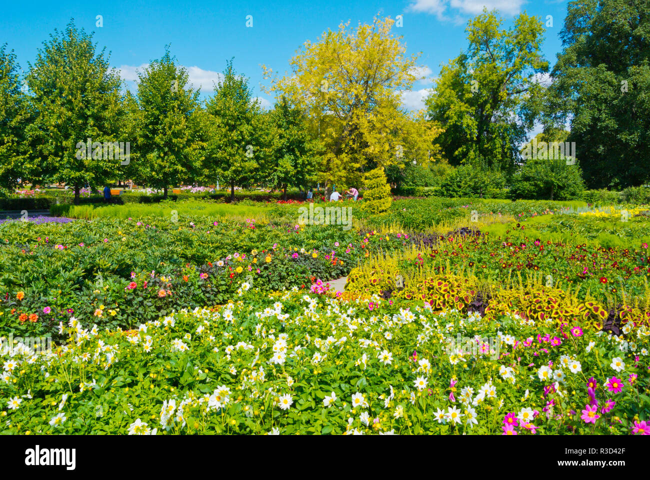 Moscow russia flower garden outside hi-res stock photography and images -  Alamy