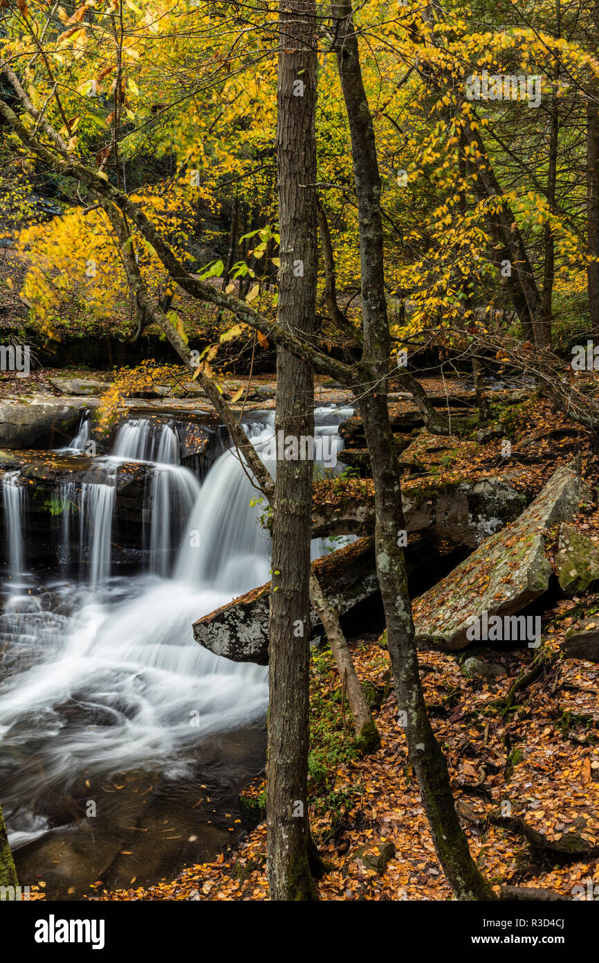 Dunlop Creek Falls in Fayette County, West Virginia, USA Stock Photo