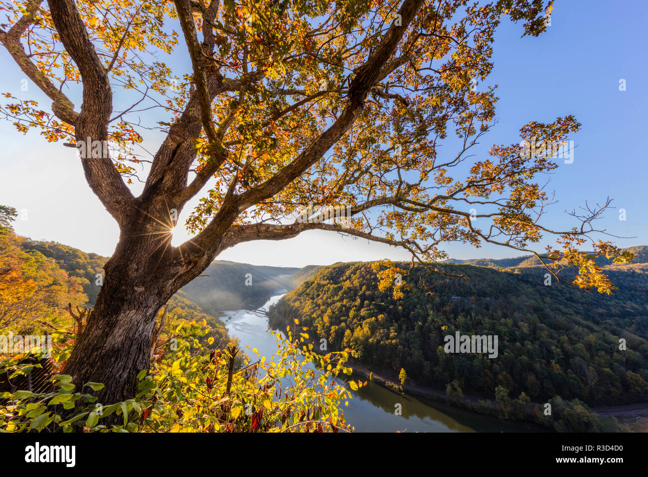 Sunrise filtering into the New River at Hawks Nest State Park in