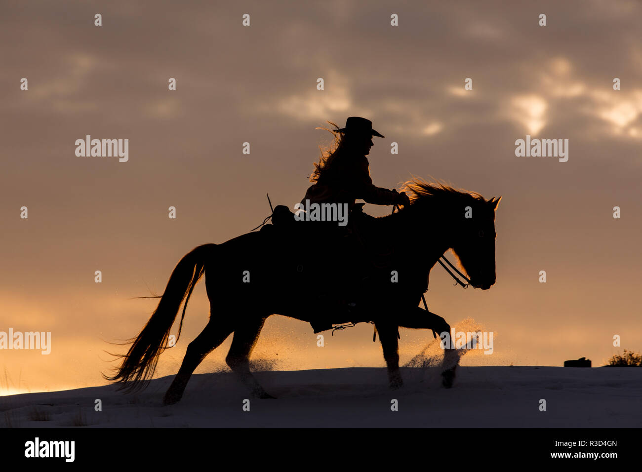 Riding Cowgirl