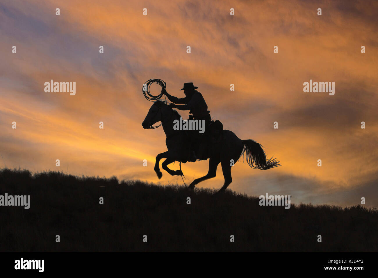 Usa, Wyoming, Shell, The Hideout Ranch, Cowboy and Lasso Silhouette at Sunset (MR, PR) Stock Photo
