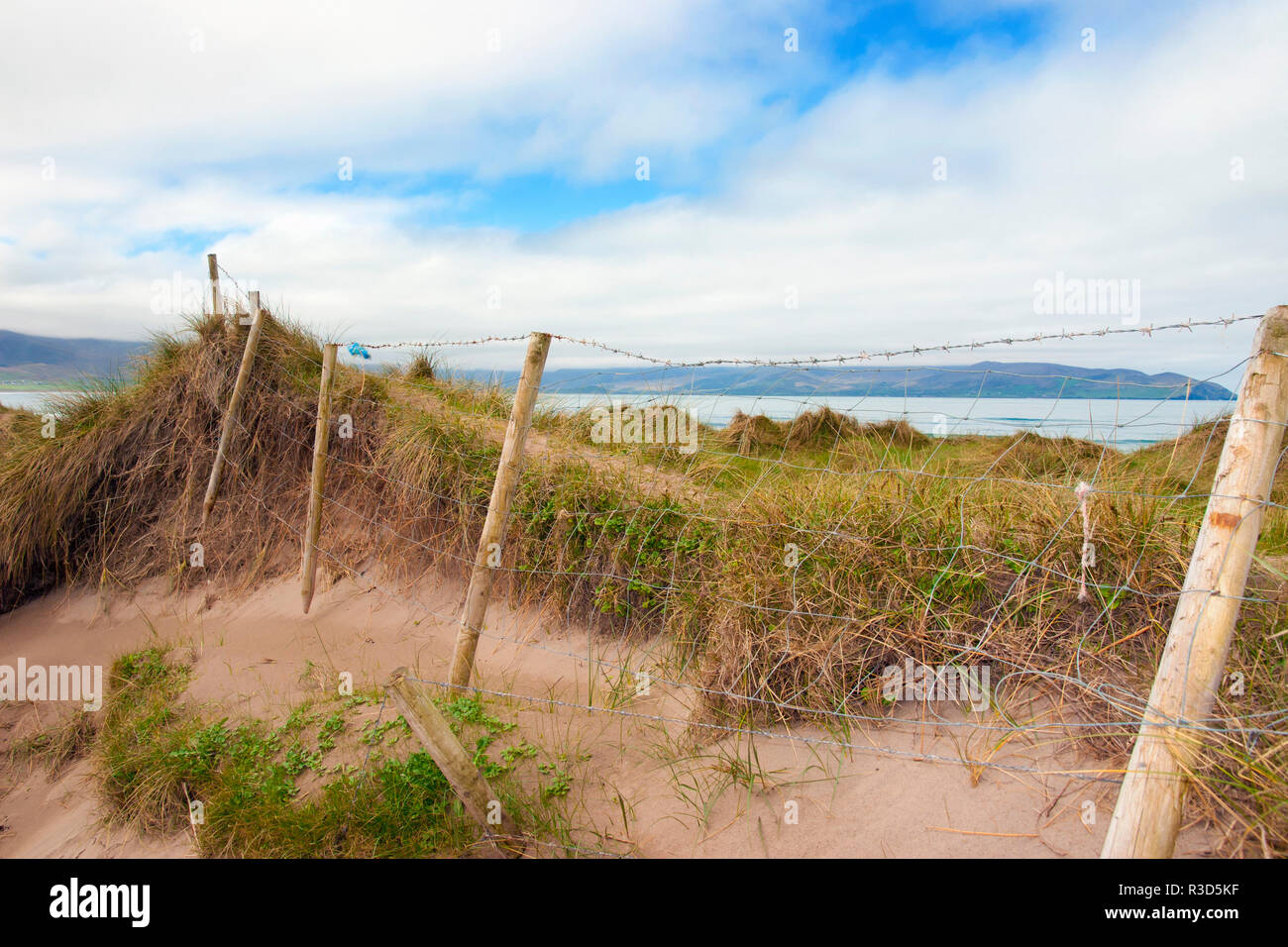 Fenit Stock Photos & Fenit Stock Images - Alamy