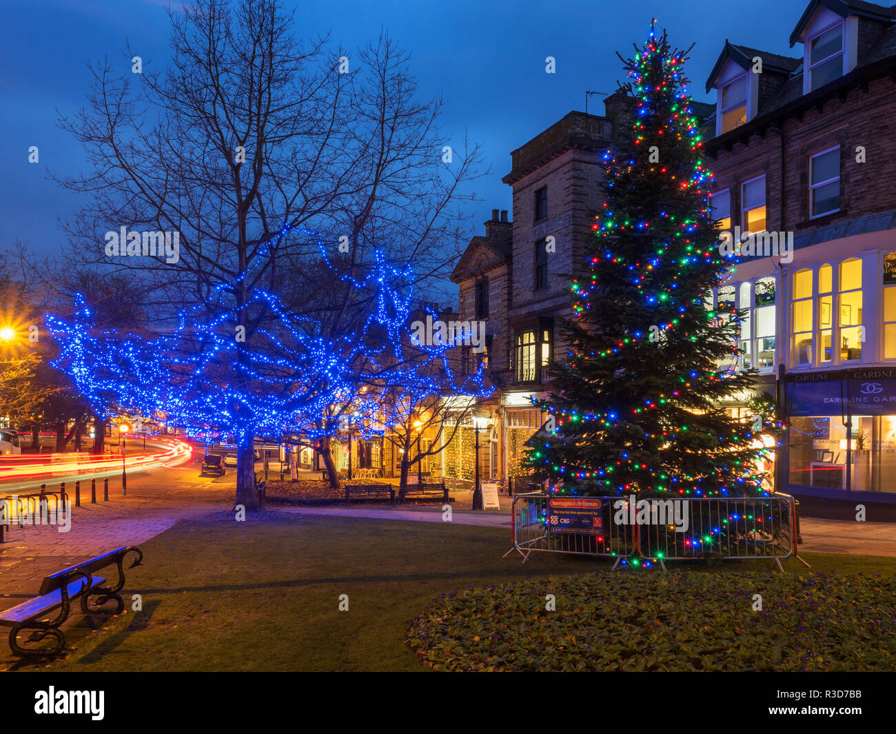 Christmas tree lights harrogate hires stock photography and images Alamy