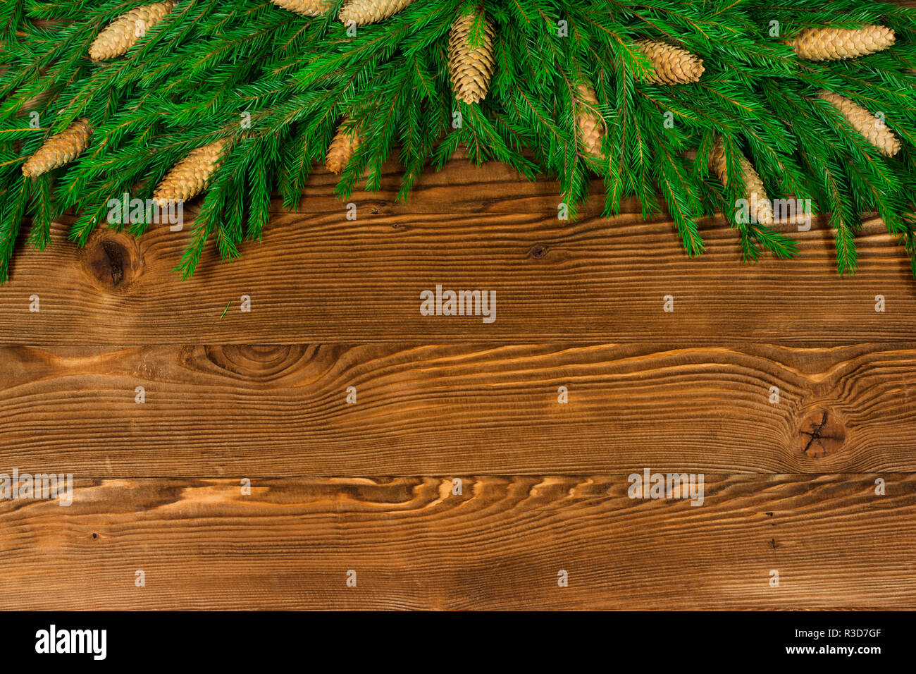 Christmas fir tree with cones on dark wooden board. Composition or ...