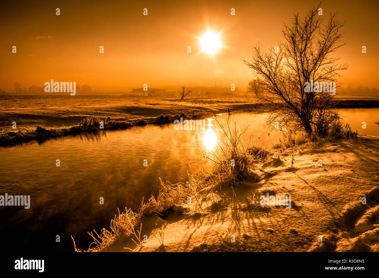 Winter Scenery Of Nature With Tree Over Bank Of River Landscape