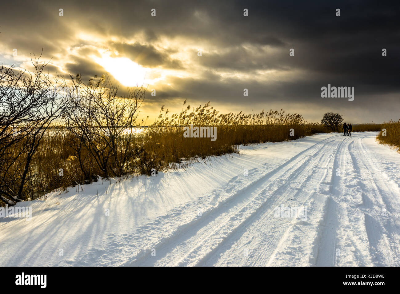 Snow on road, winter landscape with moody sky before sunset over lake ...