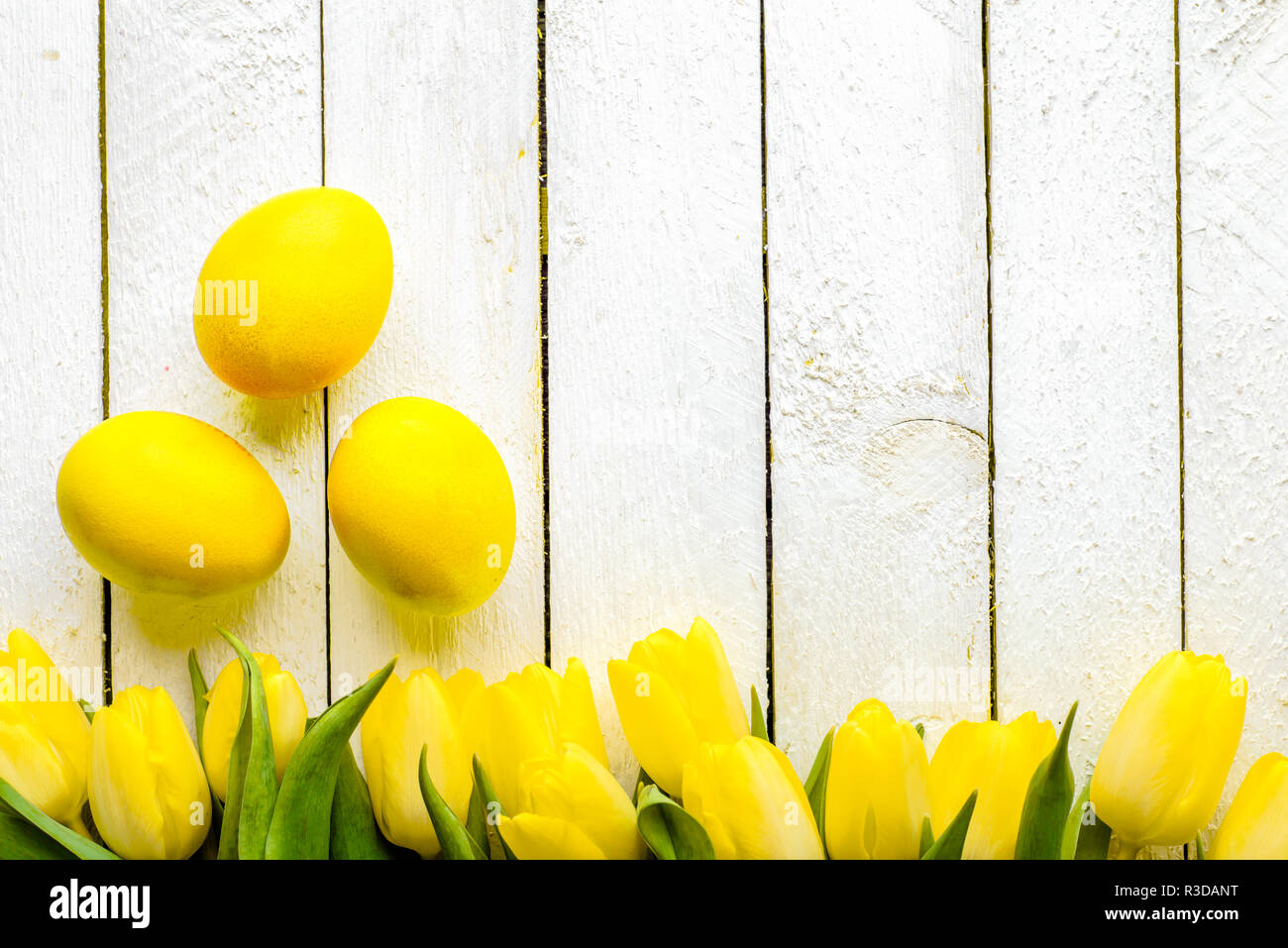Happy easter eggs, background with tulips and yellow eggs, top view ...