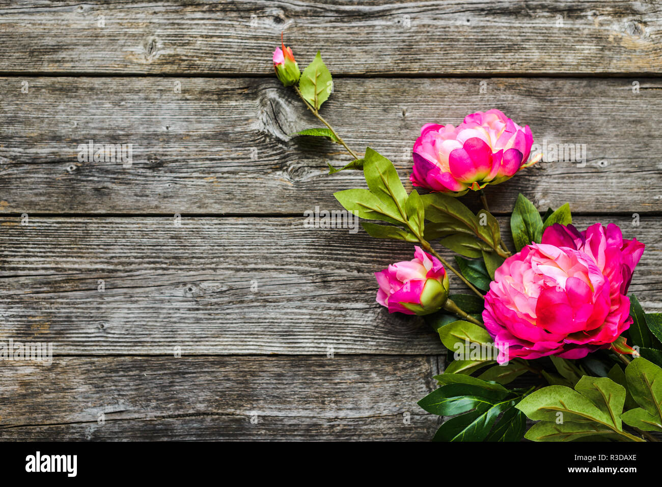 Peony flowers bouquet, background for womens day or card for mothers ...