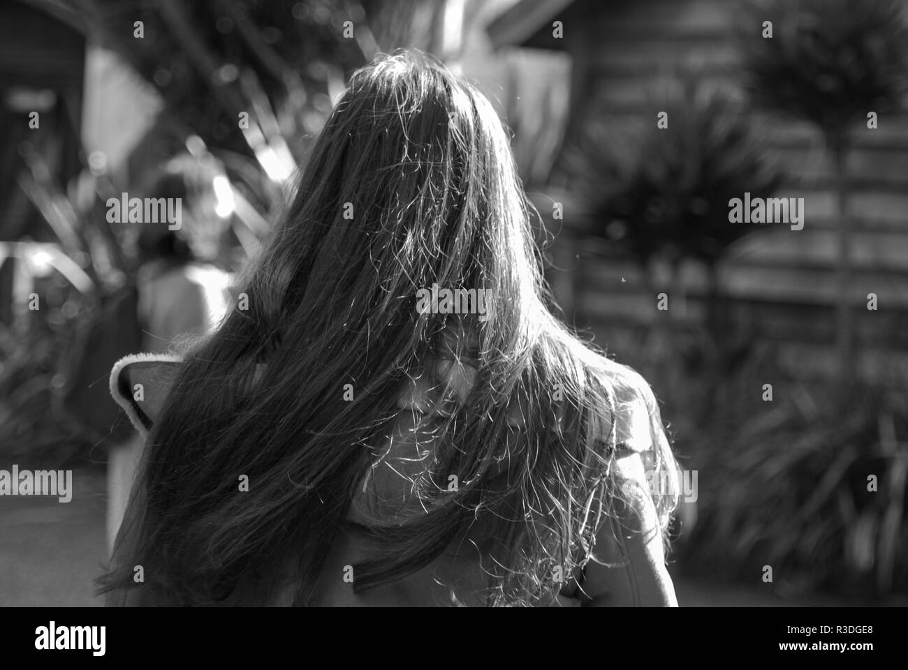 Back of woman's head hi-res stock photography and images - Alamy