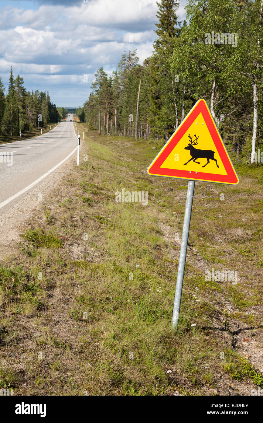 beautiful scenic road in norway. typical warning road sign Stock Photo
