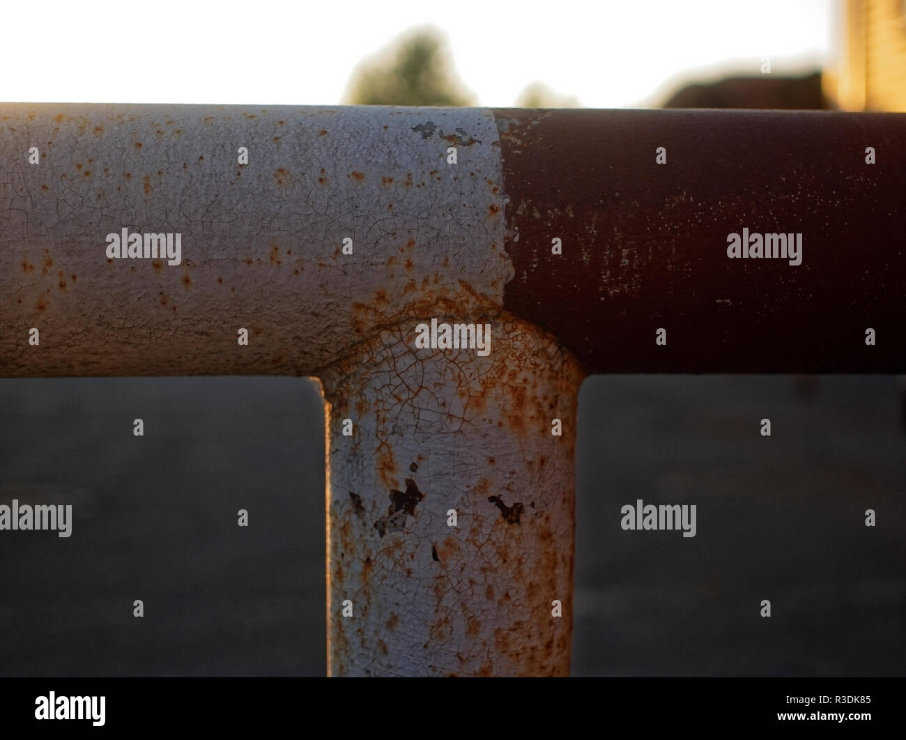 rusty iron railings in the summer evening, Russia Stock Photo - Alamy