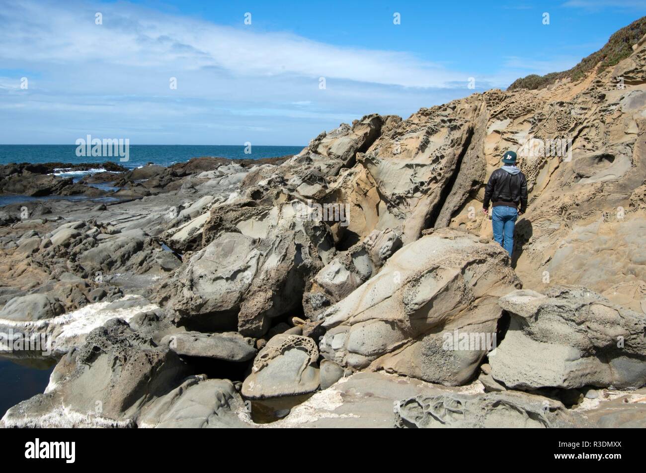 Bean Hollow State Beach has interesting tide pools Stock Photo Alamy