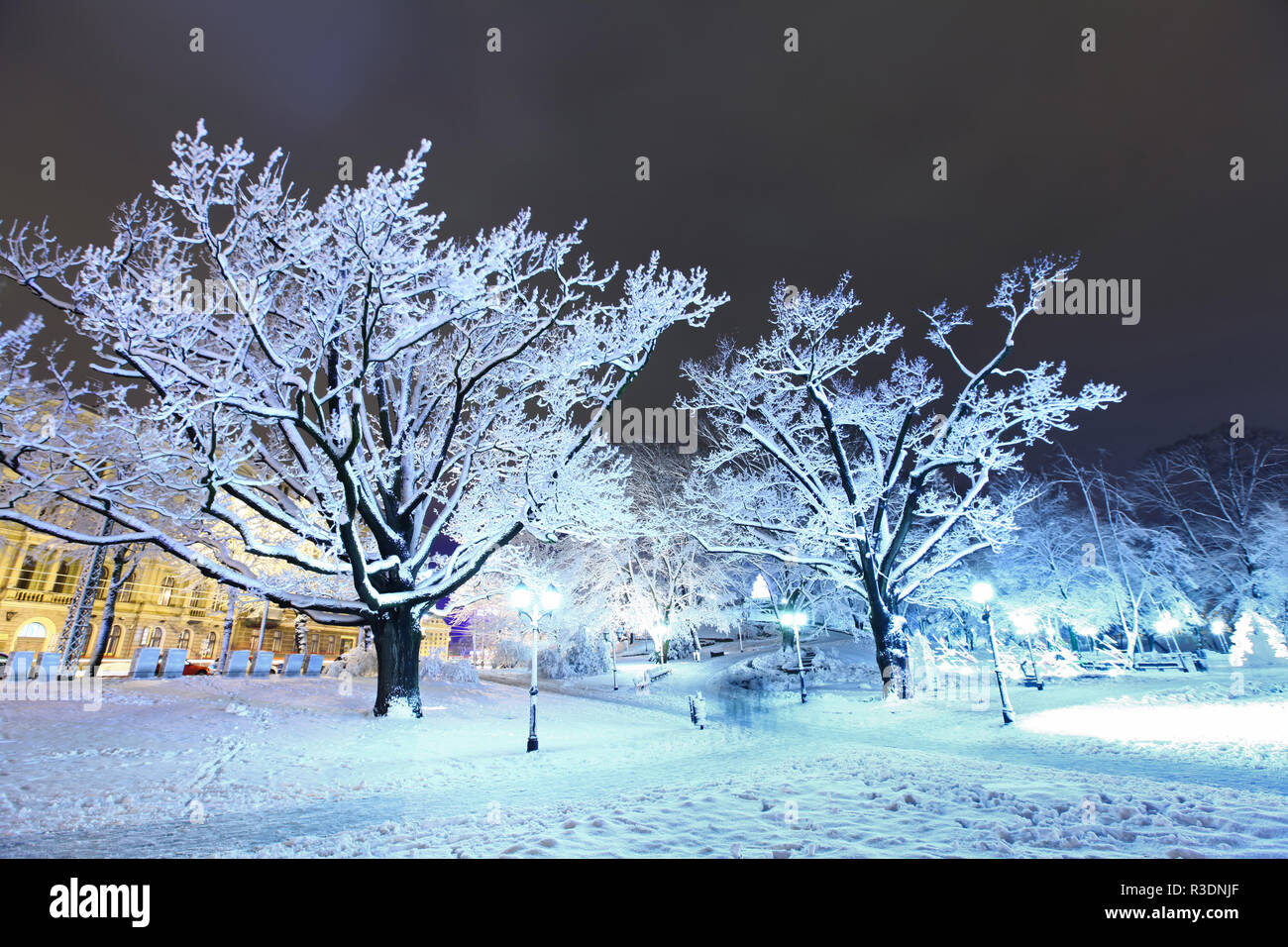 Winter night park with high trees in Old Riga, Latvia close to Bastion hill Stock Photo