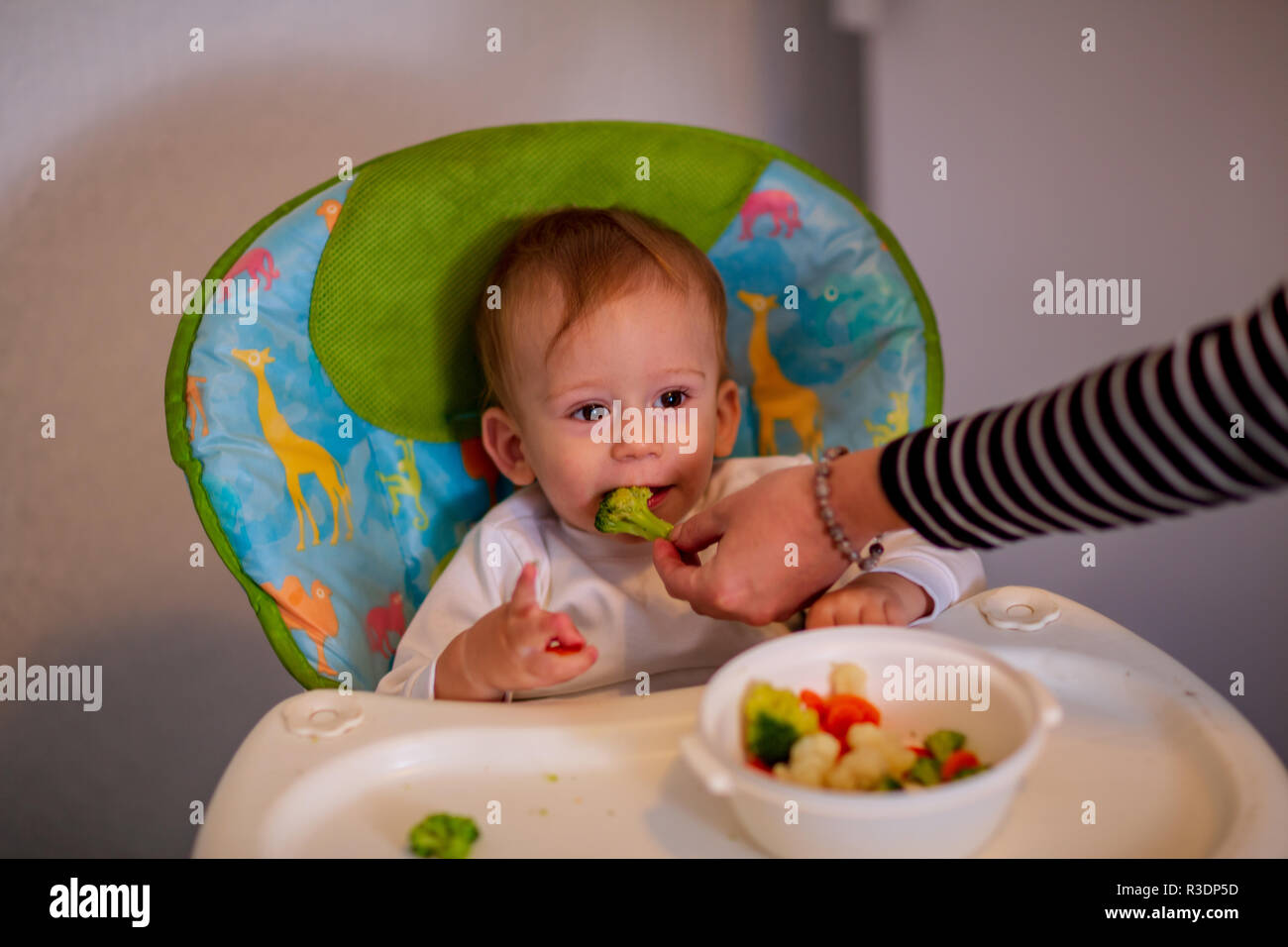 feeding baby adorable baby boy eating broccoli Stock Photo Alamy