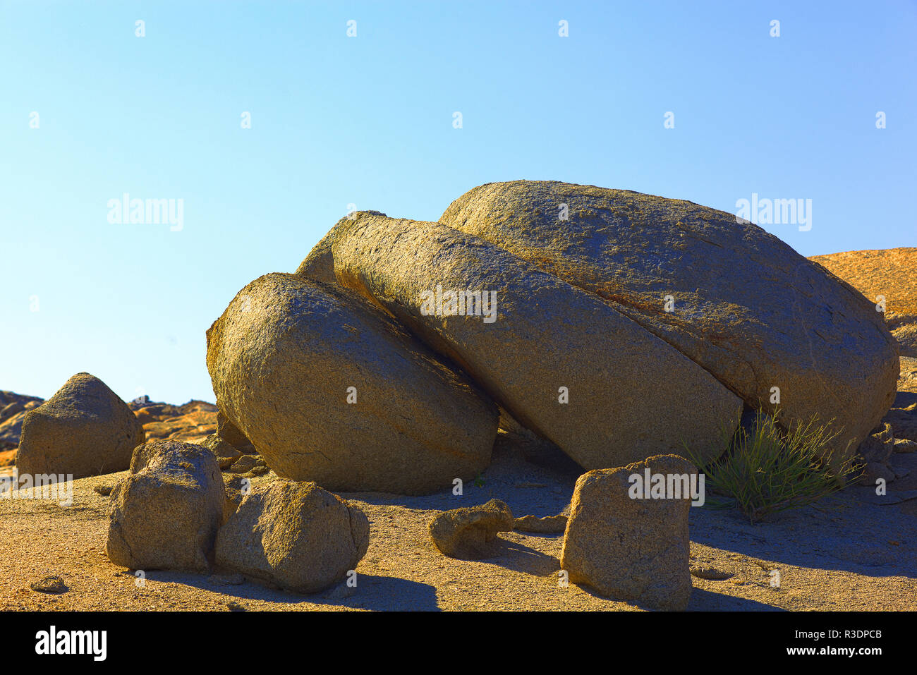 Dorob nationalpark hi-res stock photography and images - Alamy