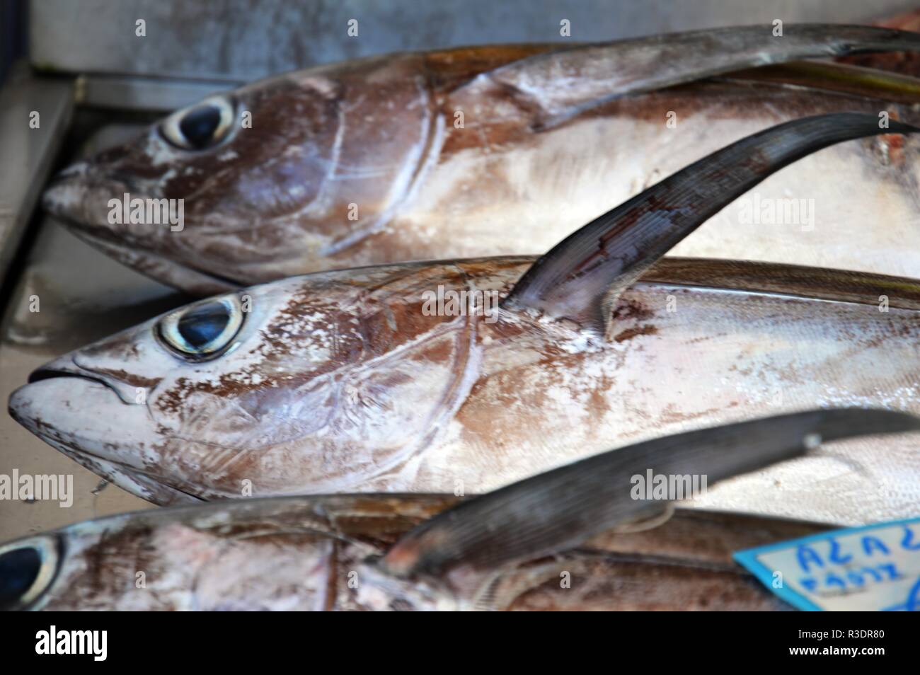 Fresh fish at the syracuse market Stock Photo Alamy