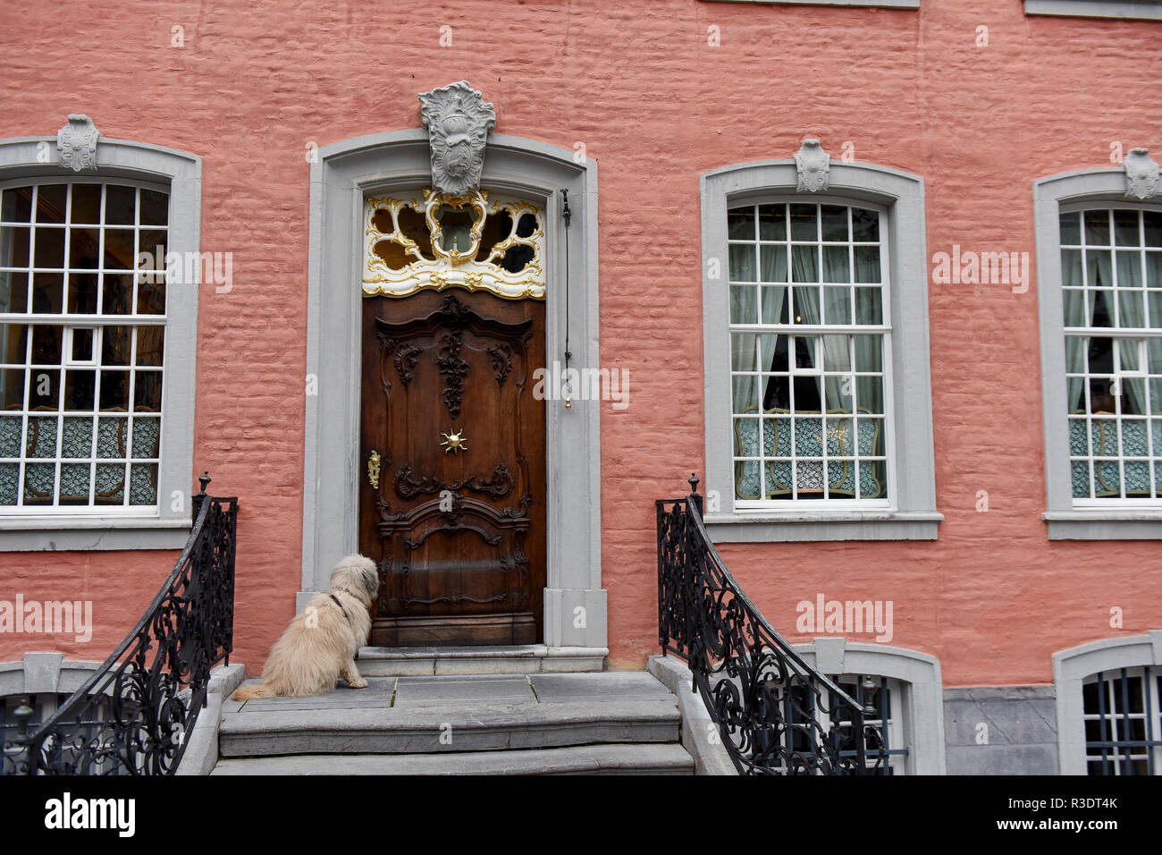 Pet dog waiting outside house Monschau in Germany Stock Photo