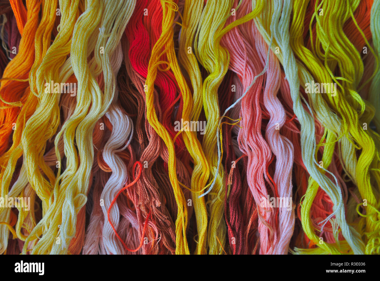 color chart of yellow and pink cotton threads for embroidery Stock Photo