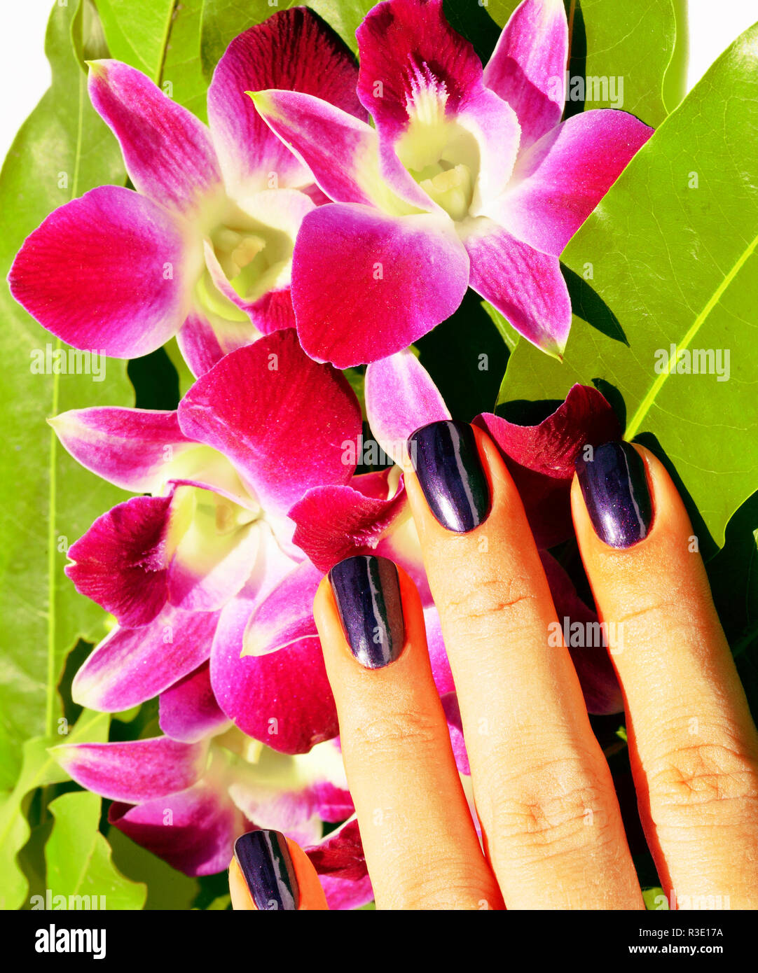 bright colored photo of fingernails with manicure and orchids ma Stock Photo