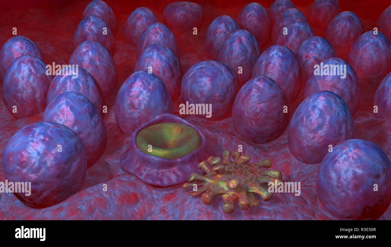Alien eggs in mist. 3d render Stock Photo - Alamy
