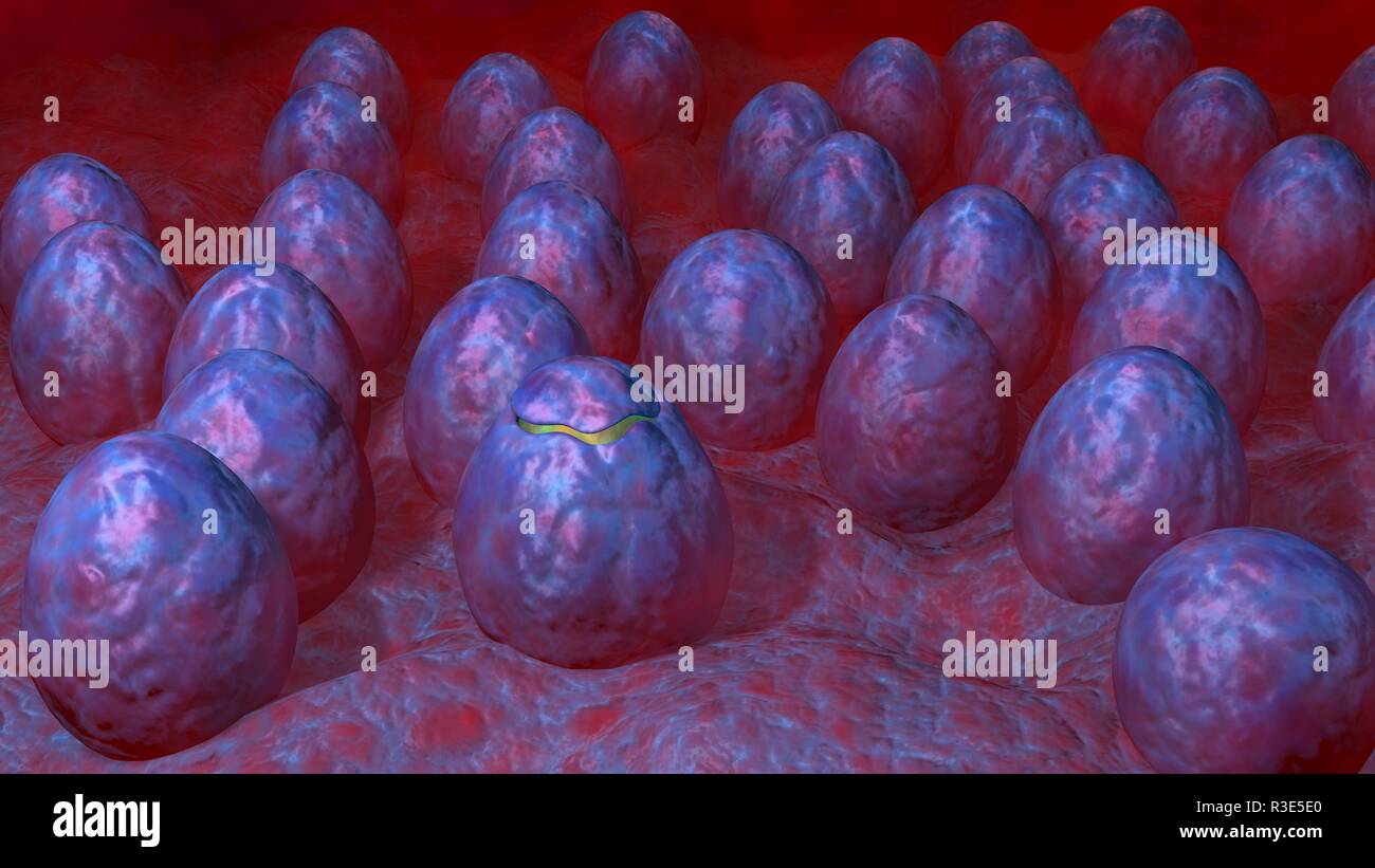 Alien eggs in mist. 3d render Stock Photo - Alamy