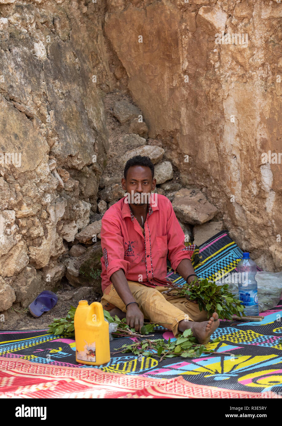 Harari man chewing khat during a sufi celebration, Harari Region, Harar, Ethiopia Stock Photo