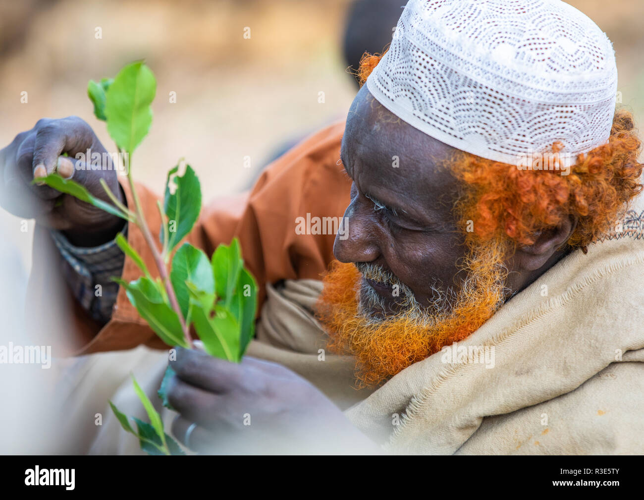 Harari man with a red beard chewing khat during a sufi celebration, Harari Region, Harar, Ethiopia Stock Photo