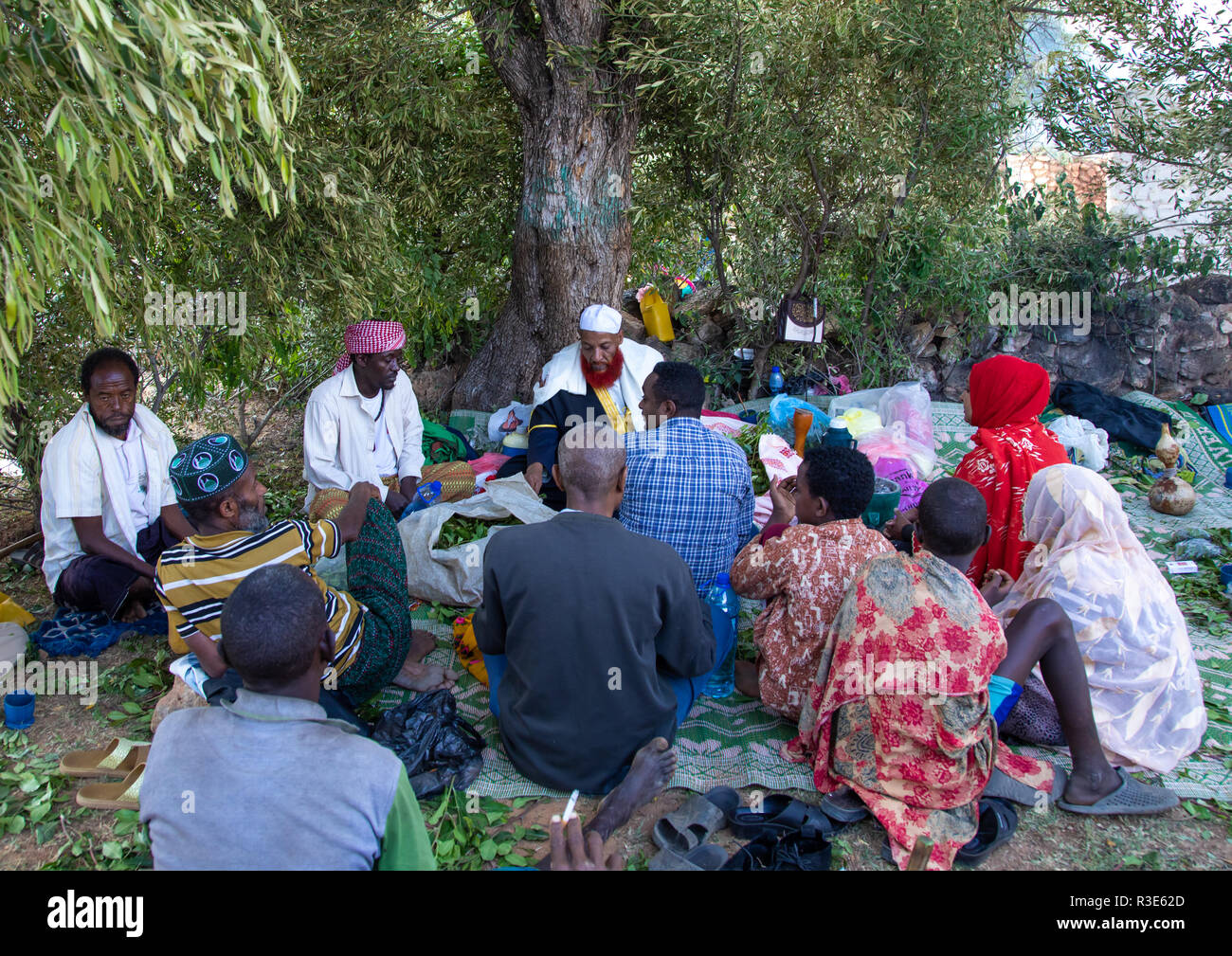 Harari men chewing khat during a sufi celebration, Harari Region, Harar, Ethiopia Stock Photo
