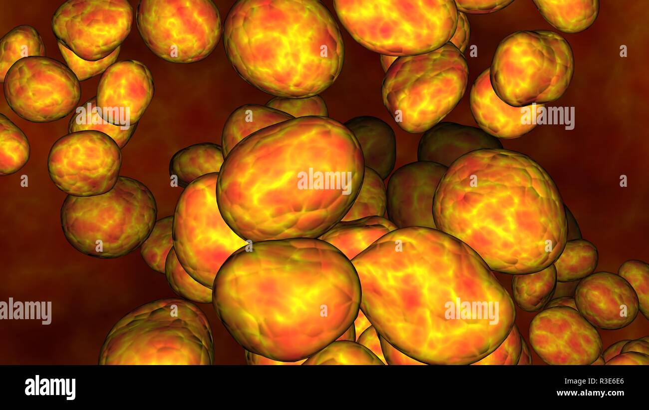 Glowing cells, microbe inside body . 3d render Stock Photo