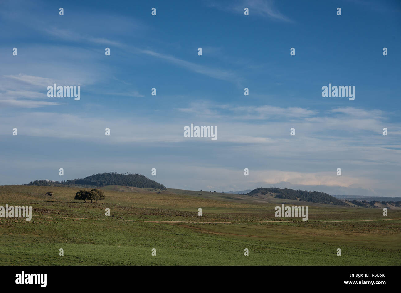 Landscape with highland meadows and hills in the Middle Atlas, Azrou ...
