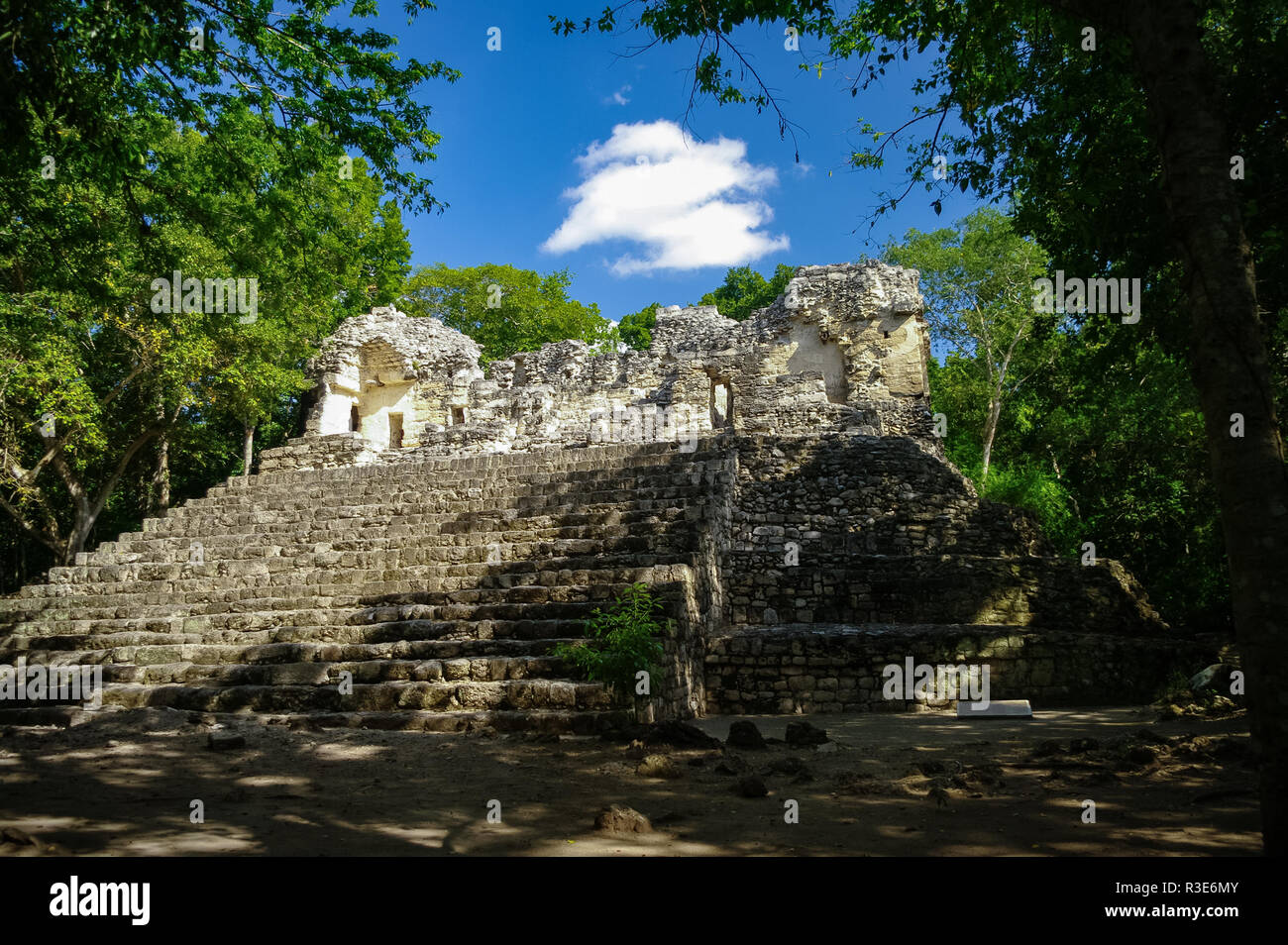 Steps of the pyramid stairs. Hidden in jungle Calakmul archeological complex, Mexico Stock Photo