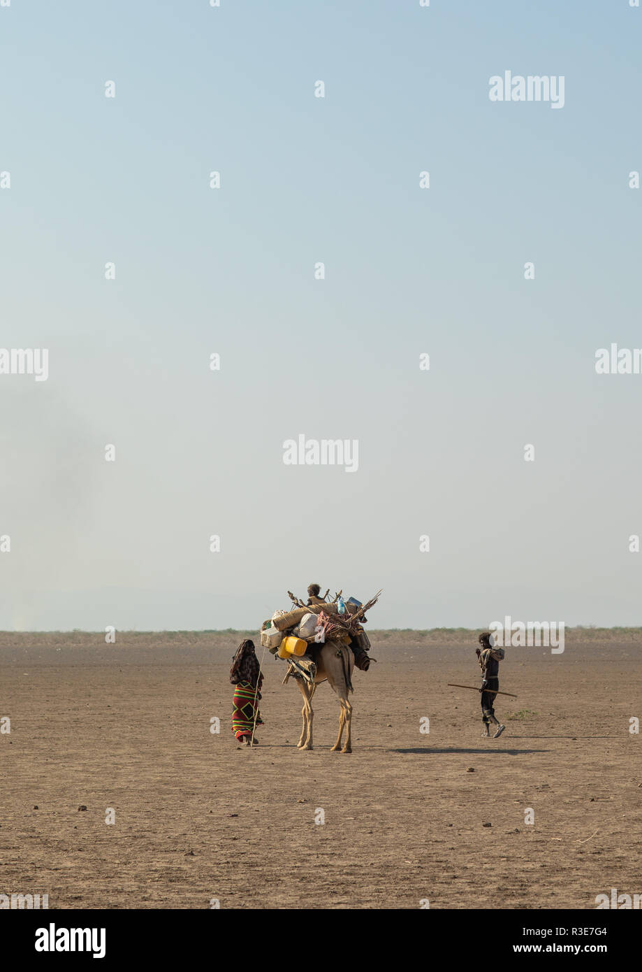Afar people leading a camel caravan, Afar region, Semera, Ethiopia Stock Photo