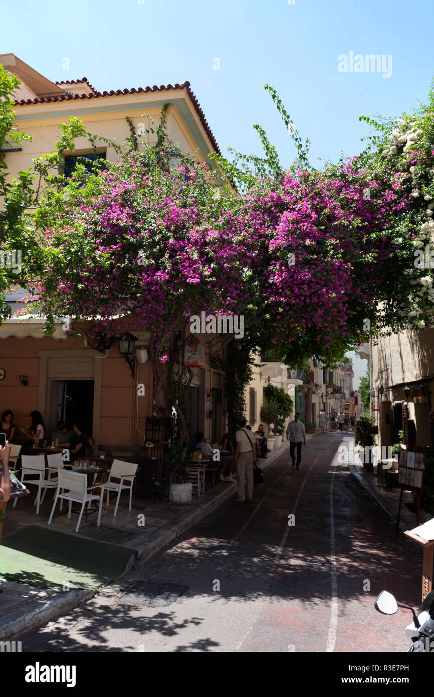 taverna and bougainvillea plaka athens greece Stock Photo