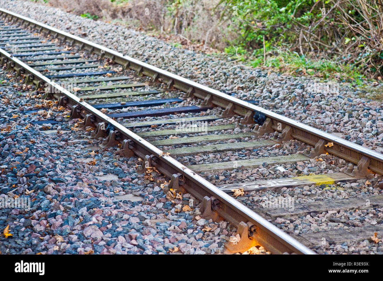 Leaves on the Rails, railway lines, railway infrastructure