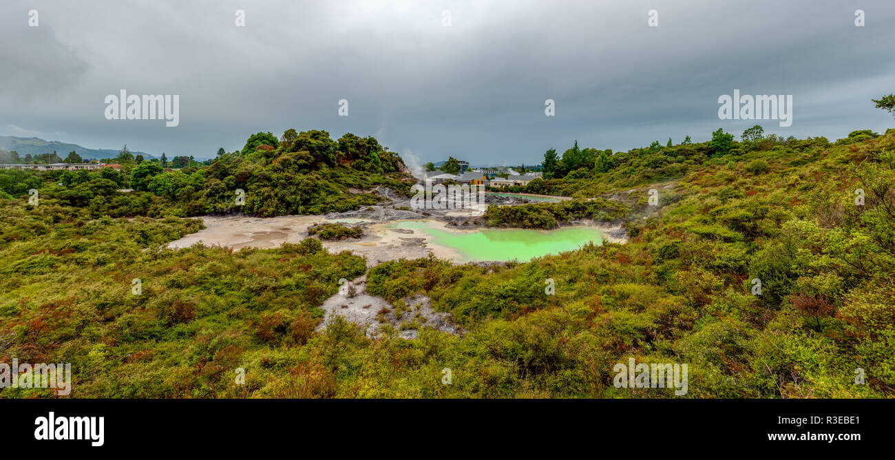 Geyser rotorua geothermal energy hot hi-res stock photography and ...