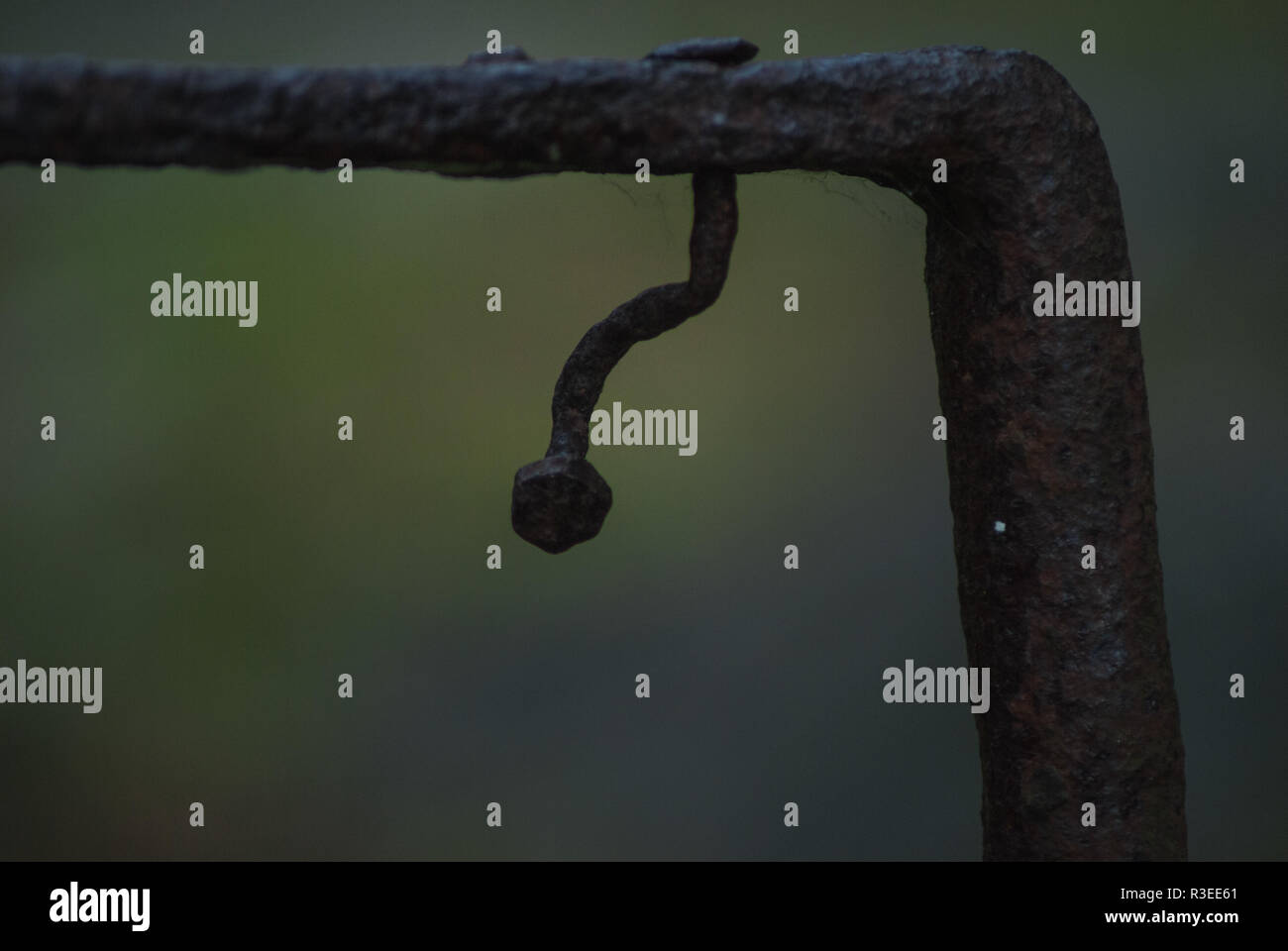 A rusty old nail stuck in metal in Azaleadalen, Slottsskogen, Gothenburg, Sweden Stock Photo