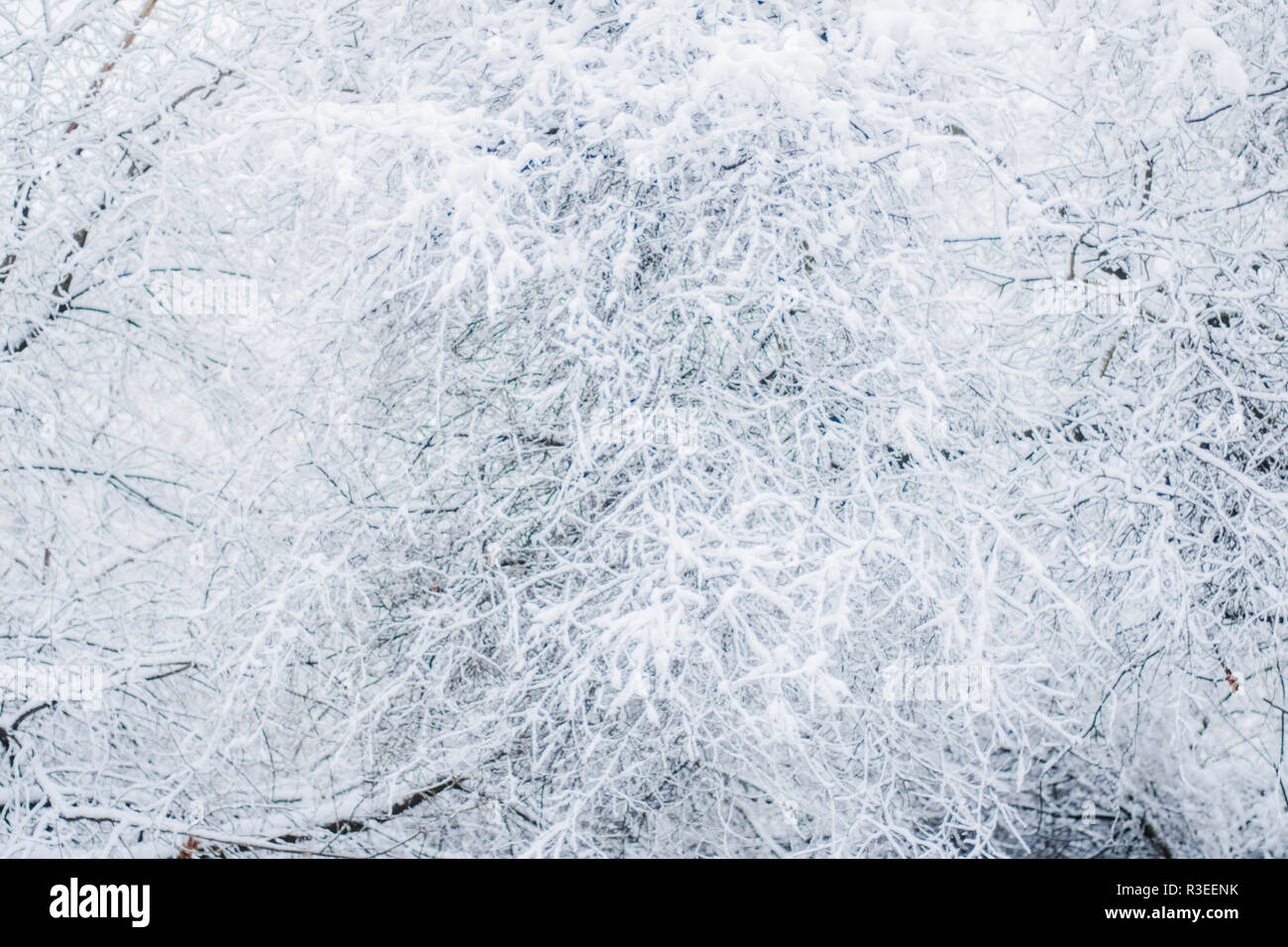 Christmas day scene hi-res stock photography and images - Alamy