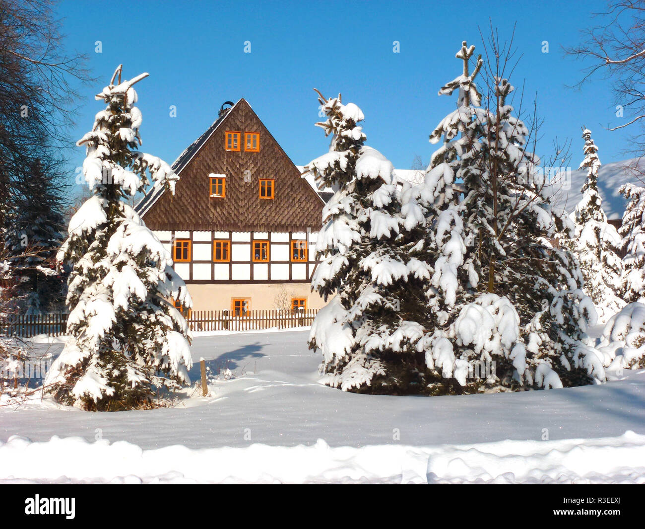 eastern ore mountains in winter Stock Photo