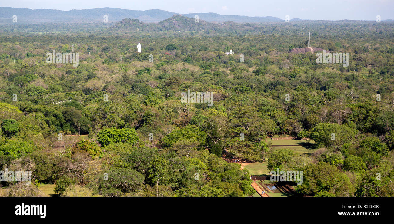 Forest seen from Sigiriya rock in Sri Lanka. Known as the Lion's Rock