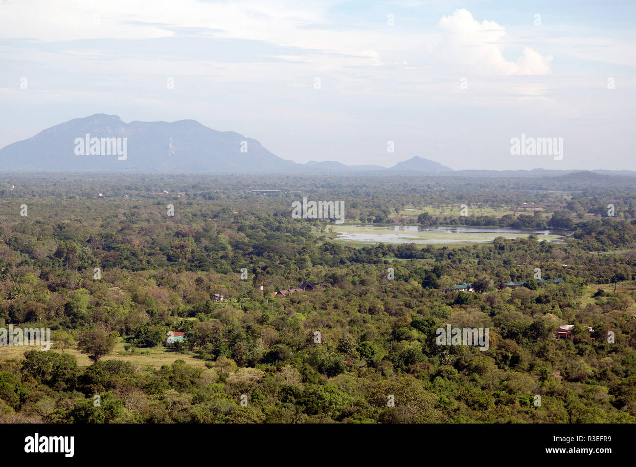 Forest seen from Sigiriya rock in Sri Lanka. Known as the Lion's Rock