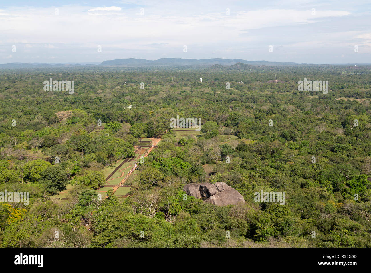 Forest seen from Sigiriya rock in Sri Lanka. Known as the Lion's Rock