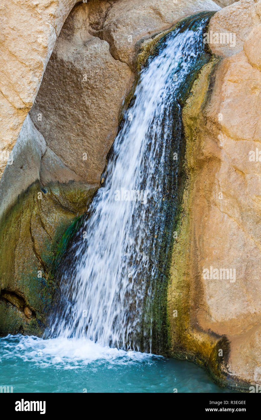 Body heat map hi-res stock photography and images - Alamy