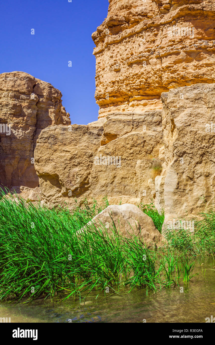 famous mountain oasis chebika in tunisia,northern africa Stock Photo ...