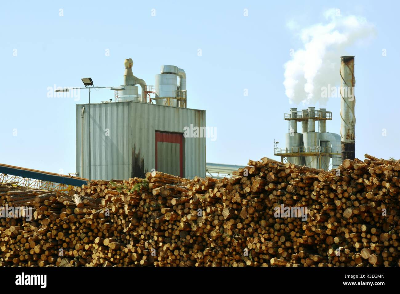 Logging industry logs stacked stock outdoor Stock Photo Alamy