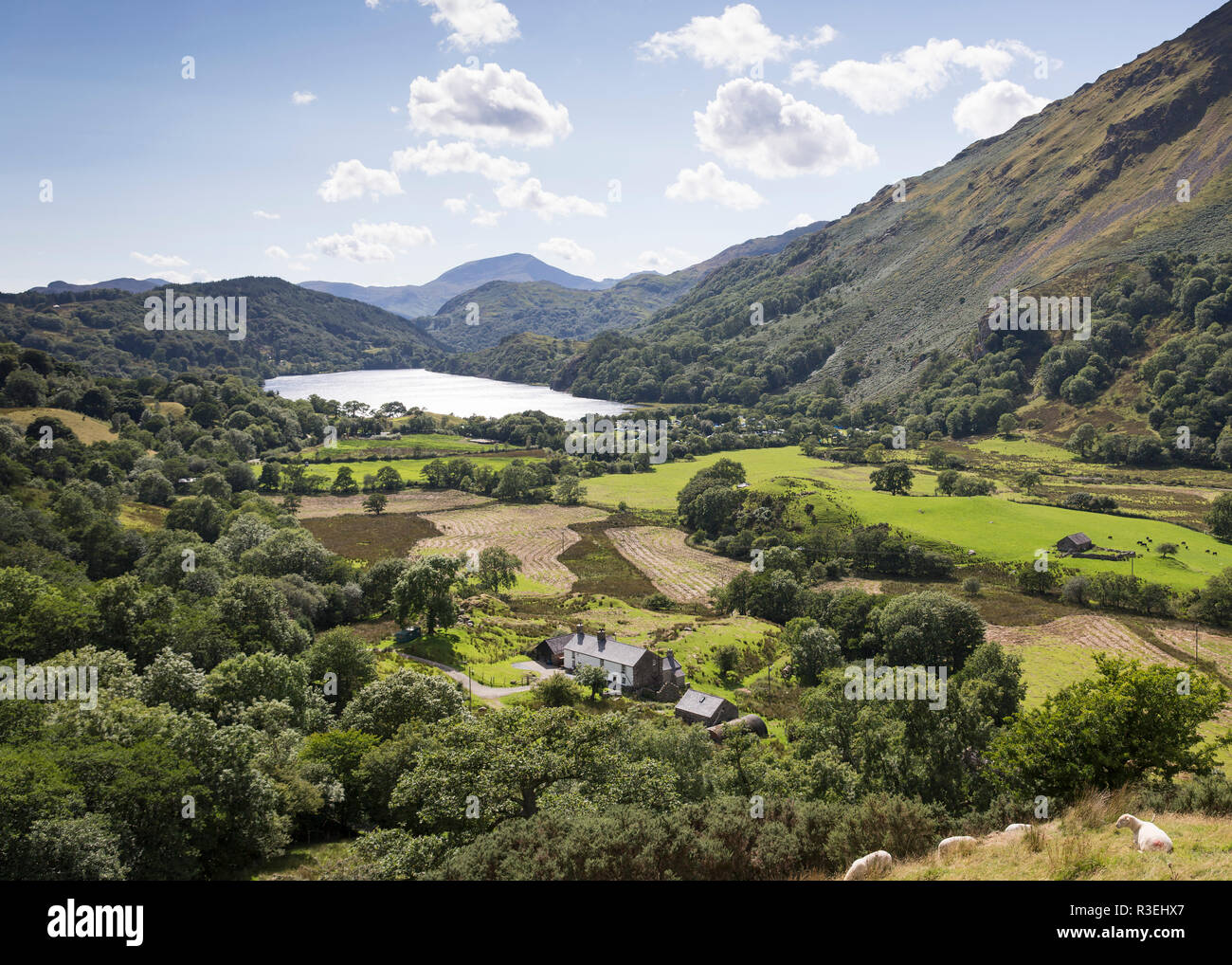 Landscape view of Lyn Gwynant, Nant Gwynant valley, Gwynedd, Snowdonia National Park, Wales, UK Stock Photo